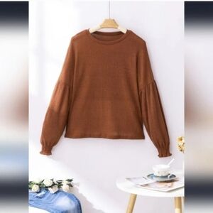 ✨️End Of WinterSale✨️Chestnut Ruffled Sleeve Textured Top (New/Unused)